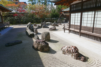 高野山,紅葉(P1000487,10.9mm,F7.1,LX100)2014yaotomi.jpg