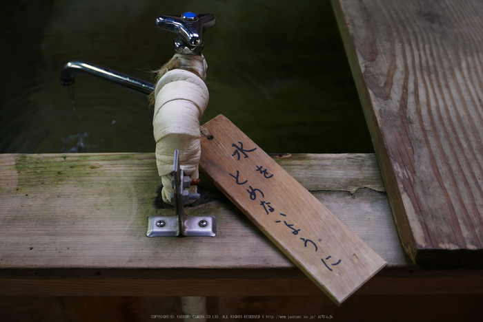 高野山,紅葉(P1000501,21.3mm,F2.6,LX100)2014yaotomi.jpg