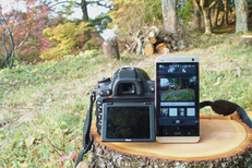 Nikon,D750(WiFi)2014yaotomi_12.jpg