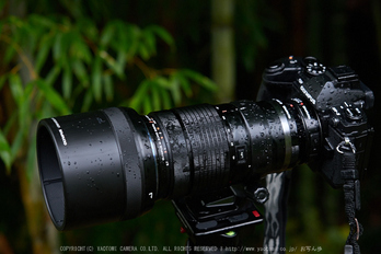 OLYMPUS M.ZUIKO DIGITAL ED 40-150mm F2.8 PRO ／ 明日香 岡寺 紅葉