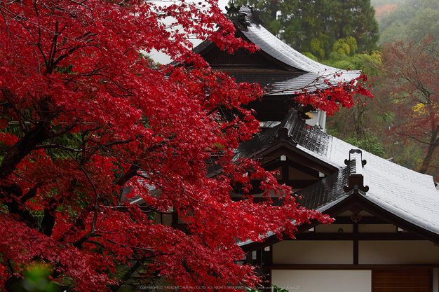OLYMPUS M.ZUIKO DIGITAL ED 40-150mm F2.8 PRO ／ 明日香 岡寺 紅葉