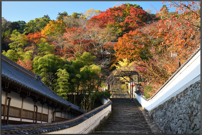 お写ん歩: Nikon AF-S NIKKOR 70-200mm f/4G ED VRアーカイブ