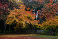 九品寺・紅葉(PB290073,13mm,F4,FULL)2014yaotomi_.jpg