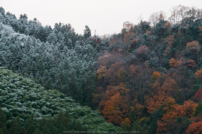 天川,雪景(IMG_0009,f-4.5,Canon,G7X)2014yaotomi_.jpg