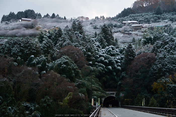 天川,雪景(IMG_0013,f-2.8,Canon,G7X)2014yaotomi_.jpg