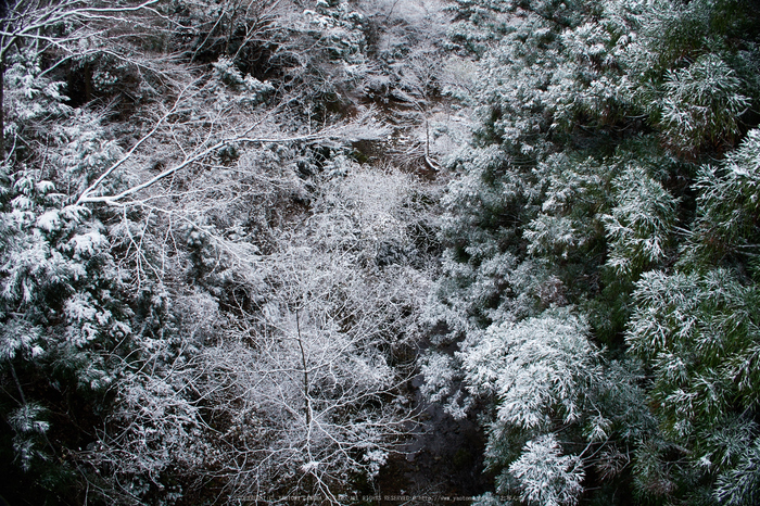 天川,雪景(IMG_0082,f-4,Canon,G7X)2014yaotomi_.jpg