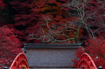 室生寺・紅葉(PB260034,82mm,F5,EM1)2014yaotomi_.jpg