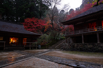 室生寺・紅葉(PB260064,12mm,F8,EM1)2014yaotomi_.jpg