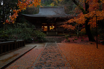 室生寺・紅葉(PB260067,12mm,F8,EM1)2014yaotomi_.jpg