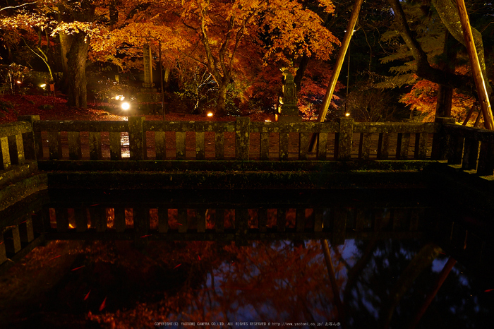 室生寺・紅葉(PB260086,12mm,F8,EM1)2014yaotomi_.jpg