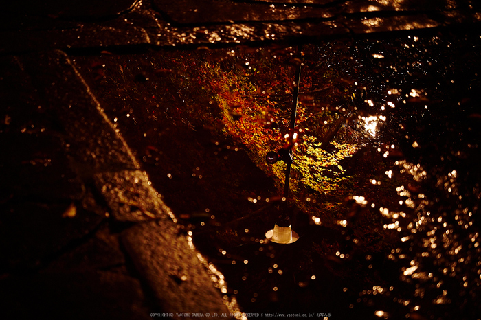 室生寺・紅葉(PB260113,40mm,F2.8,EM1)2014yaotomi_ (1) .jpg