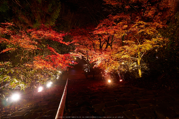 室生寺・紅葉(PB260130,12mm,F8,EM1)2014yaotomi_s.jpg