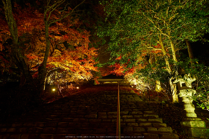 室生寺・紅葉(PB260136,12mm,F8,EM1)2014yaotomi_.jpg