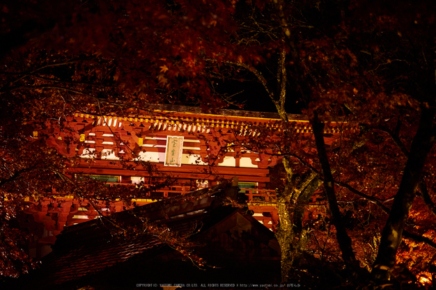 室生寺・紅葉(PB260156,40mm,F2.8,EM1)2014yaotomi_ (1) .jpg