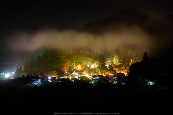 室生寺・紅葉(PB260164,12mm,F6.3,EM1)2014yaotomi_ (4) .jpg