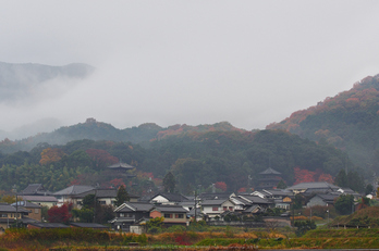 西南院・紅葉(PB290005,57mm,F4.5,EM1)2014yaotomi_.jpg