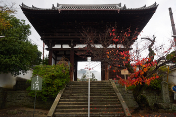 西南院・紅葉(PB290135,16mm,F3.2,EM1)2014yaotomi_.jpg