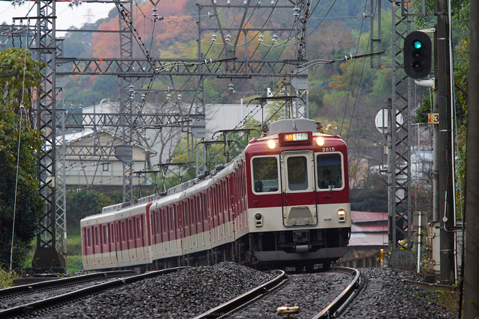 近鉄・しまかぜ(PB260272,190mm,F4.5,EM1)2014yaotomi_s.jpg