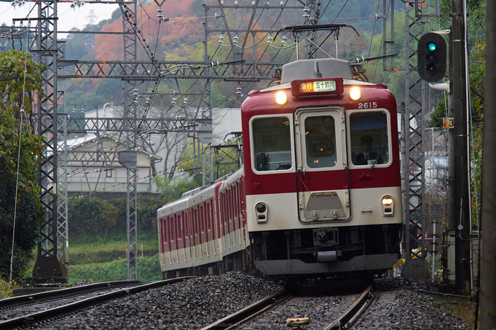 近鉄・しまかぜ(PB260292,190mm,F4.5,EM1)2014yaotomi_.jpg