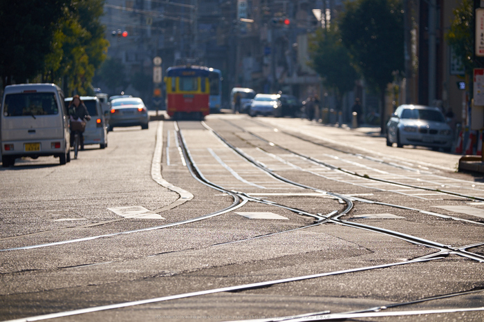 阪堺電車,師走(DSCF8642,140 mm,f-3.6,XT1)2014yaotomi_.jpg