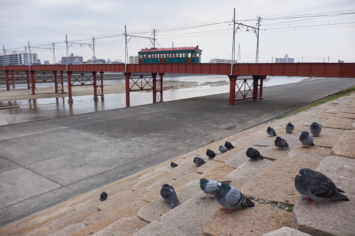 阪堺電車,師走(DSCF8816,18 mm,f-5.6,XT1)2014yaotomi_.jpg