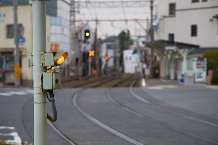 阪堺電車,師走(DSCF8844,66 mm,f-3.2,XT1)2014yaotomi_.jpg