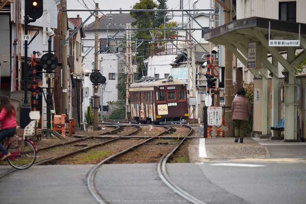 阪堺電車,師走(DSCF8849,140 mm,f-3.2,XT1)2014yaotomi_ 1.jpg