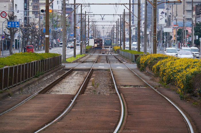 阪堺電車,師走(DSCF8863,135 mm,f-8,XT1)2014yaotomi_.jpg