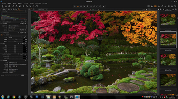 Capture-One_2014yaotomi_01s.jpg
