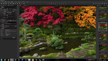 Capture-One_2014yaotomi_02s.jpg