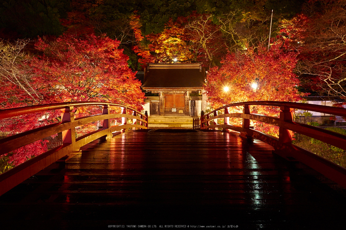 室生寺 紅葉（ライトアップ） 2014 ／ OLYMPUS M.ZUIKO DIGITAL