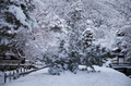 南禅寺,雪景,初詣(DSCF9628,f-5,52 mm,XT1)2015yaotomi_.jpg