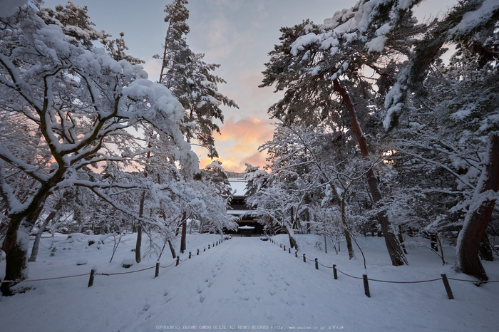 南禅寺,雪景,初詣(DSCF9652,f-9,10 mm,XT1)2015yaotomi_.jpg