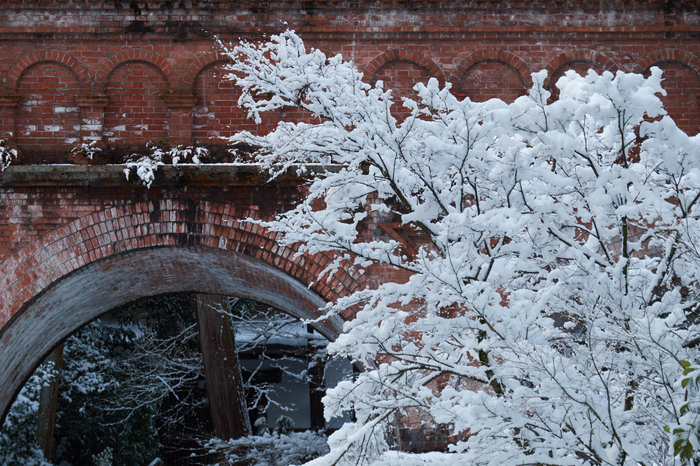 南禅寺,雪景,初詣(DSCF9716,f-9,135 mm,XT1)2015yaotomi_.jpg