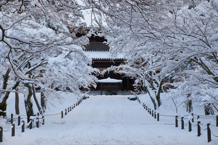 南禅寺,雪景,初詣(DSCF9760,f-8,52 mm,XT1)2015yaotomi_.jpg