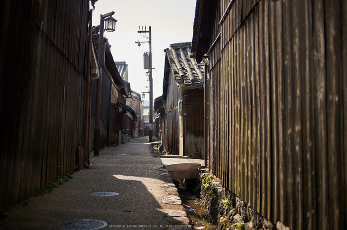 奈良,今井町,冬晴れ(DSC_4954,40 mm,f-2,Df)2015yaotomi_.jpg