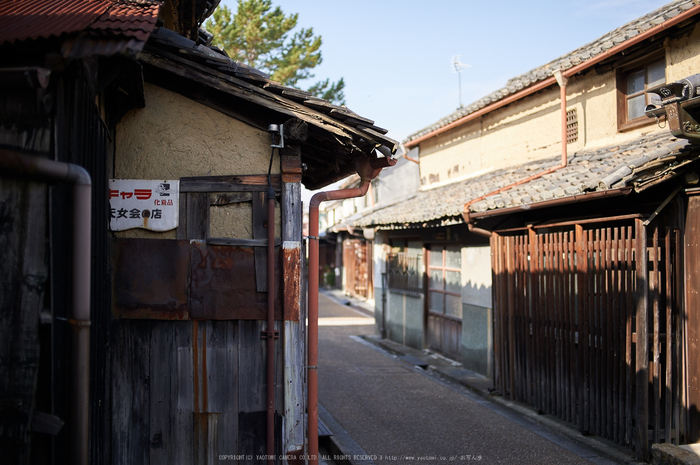 奈良,今井町,冬晴れ(DSC_4971,40 mm,f-2,Df)2015yaotomi_.jpg