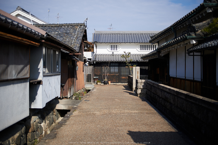 奈良,今井町,冬晴れ(DSC_4978,40 mm,f-2,Df)2015yaotomi_.jpg