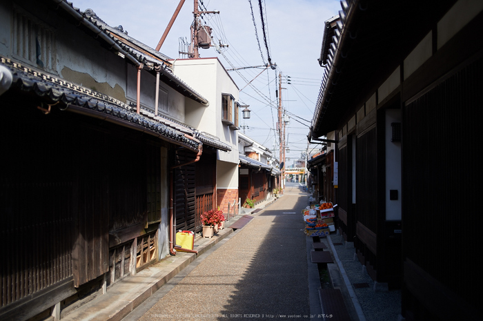 奈良,今井町,冬晴れ(DSC_4982,40 mm,f-2,Df)2015yaotomi_.jpg