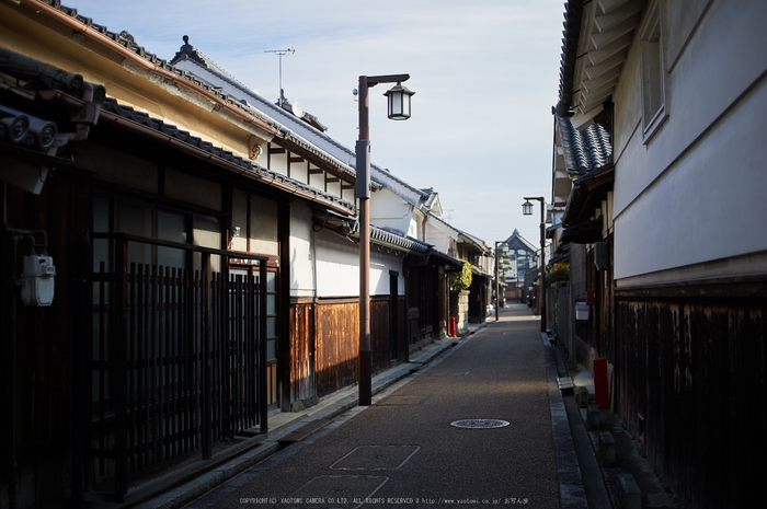 奈良,今井町,冬晴れ(DSC_4990,40 mm,f-2,Df)2015yaotomi_.jpg