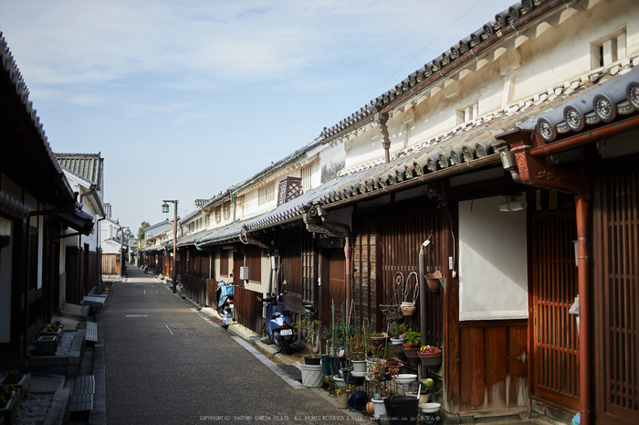 奈良,今井町,冬晴れ(DSC_5001,40 mm,f-2,Df)2015yaotomi_.jpg