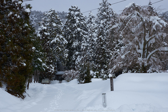 常照皇寺,雪景,初詣(DSCF9879,f-5.6,35 mm,XT1)2015yaotomi_.jpg