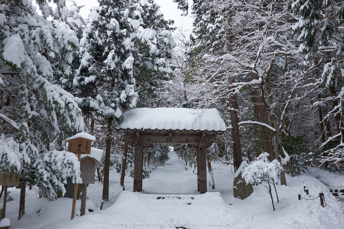 常照皇寺,雪景,初詣(DSCF9882,f-8,18 mm,XT1)2014yaotomi_.jpg