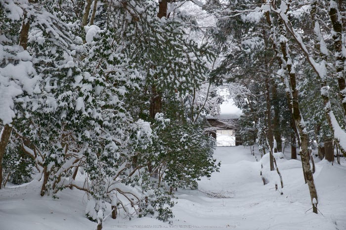 常照皇寺,雪景,初詣(DSCF9889,f-4.5,39 mm,XT1)2014yaotomi_.jpg