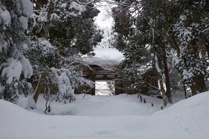 常照皇寺,雪景,初詣(DSCF9892,f-7.1,28 mm,XT1)2014yaotomi_.jpg
