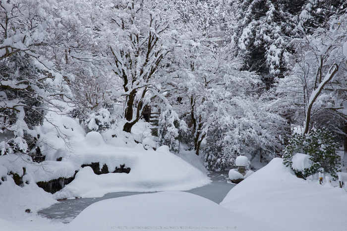 常照皇寺,雪景,初詣(DSCF9896,f-9,21 mm,XT1)2014yaotomi_.jpg