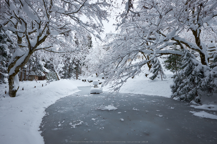 常照皇寺,雪景,初詣(DSCF9902,f-9,10 mm,XT1)2014yaotomi_.jpg