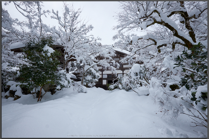 常照皇寺,雪景,初詣(DSCF9909,Top)2014yaotomi_.jpg