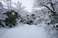 常照皇寺,雪景,初詣(DSCF9909,f-9,10 mm,FULL)2014yaotomi_.jpg