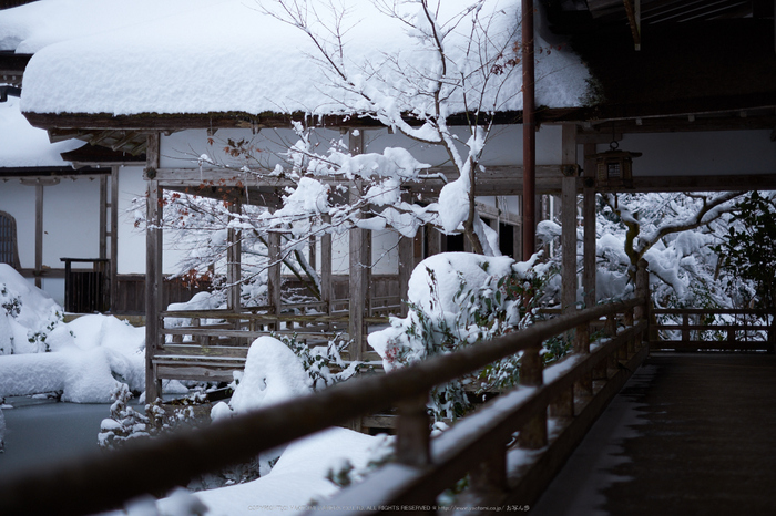 常照皇寺,雪景,初詣(DSCF9930,f-1.6,35 mm,XT1)2015yaotomi_.jpg